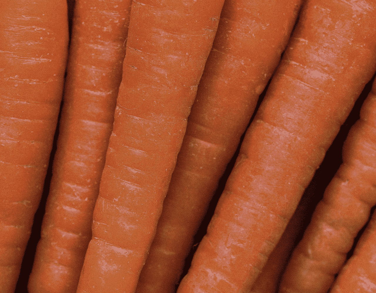 Carrot Oil