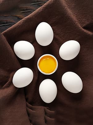 Egg Protein