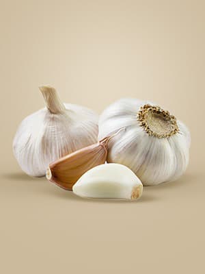 GARLIC EXTRACT