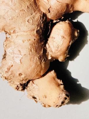 GINGER