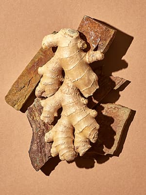 Ginseng