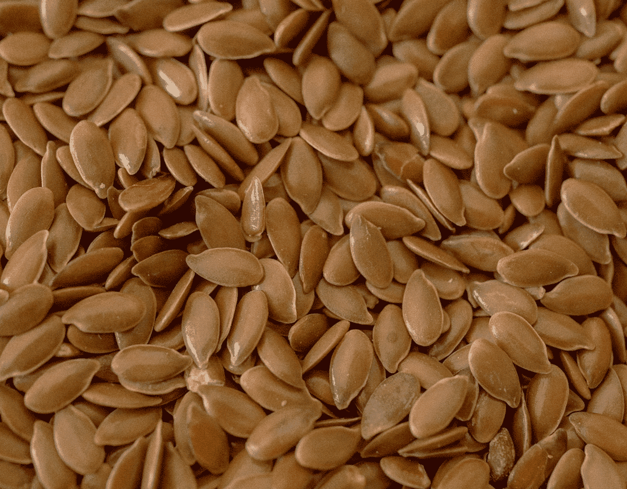 Linseed oil