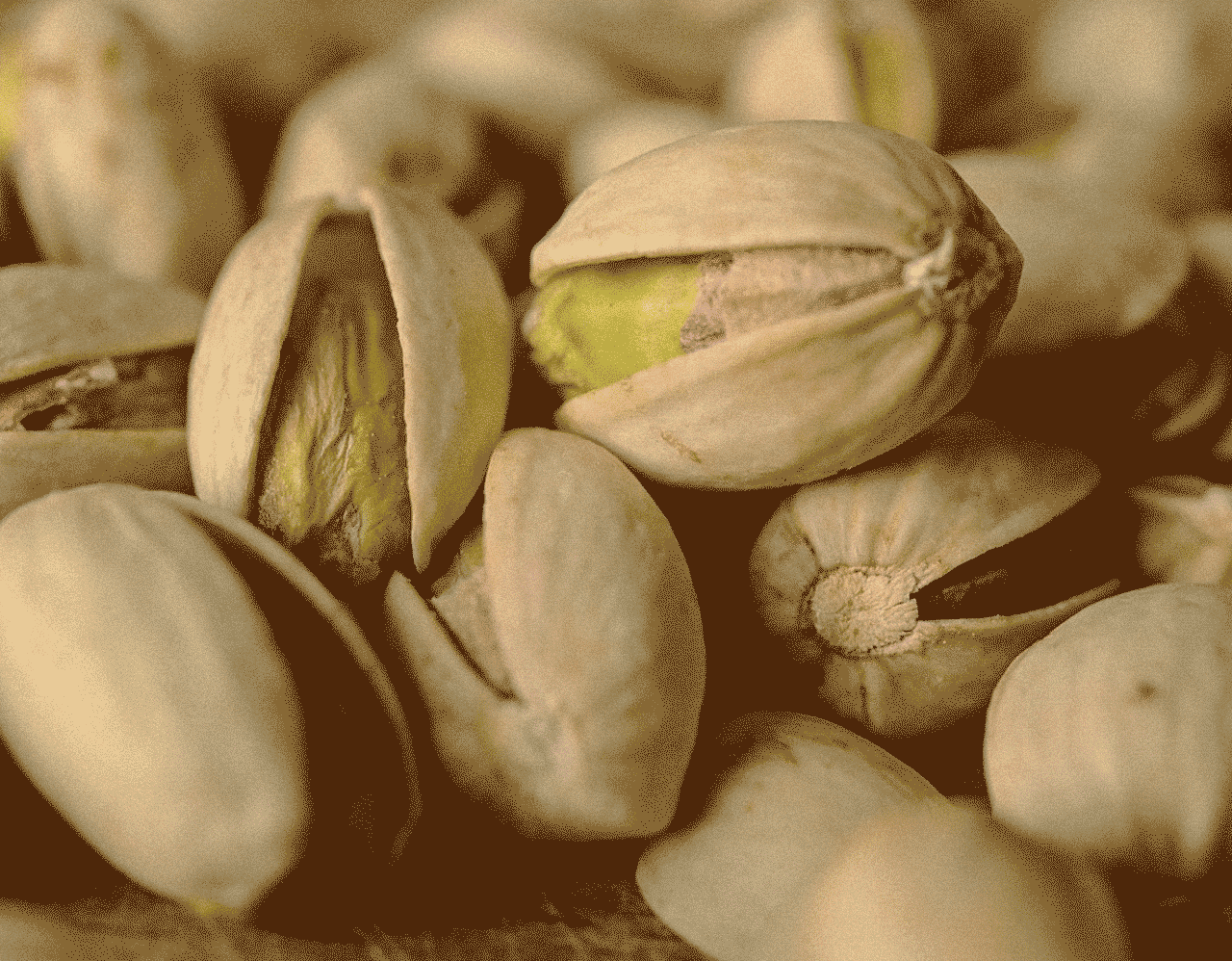 Pistachio