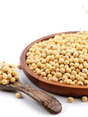 SOY PROTEIN