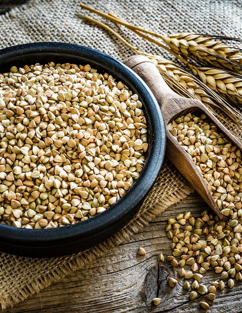 Wheat Proteins