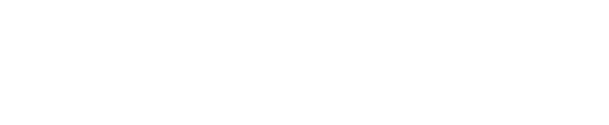 VERSUM