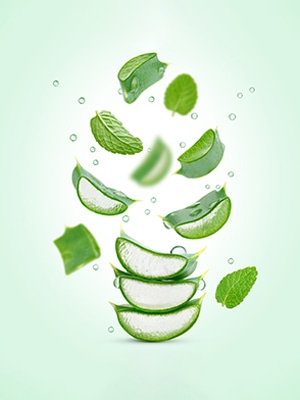 ALOE VERA