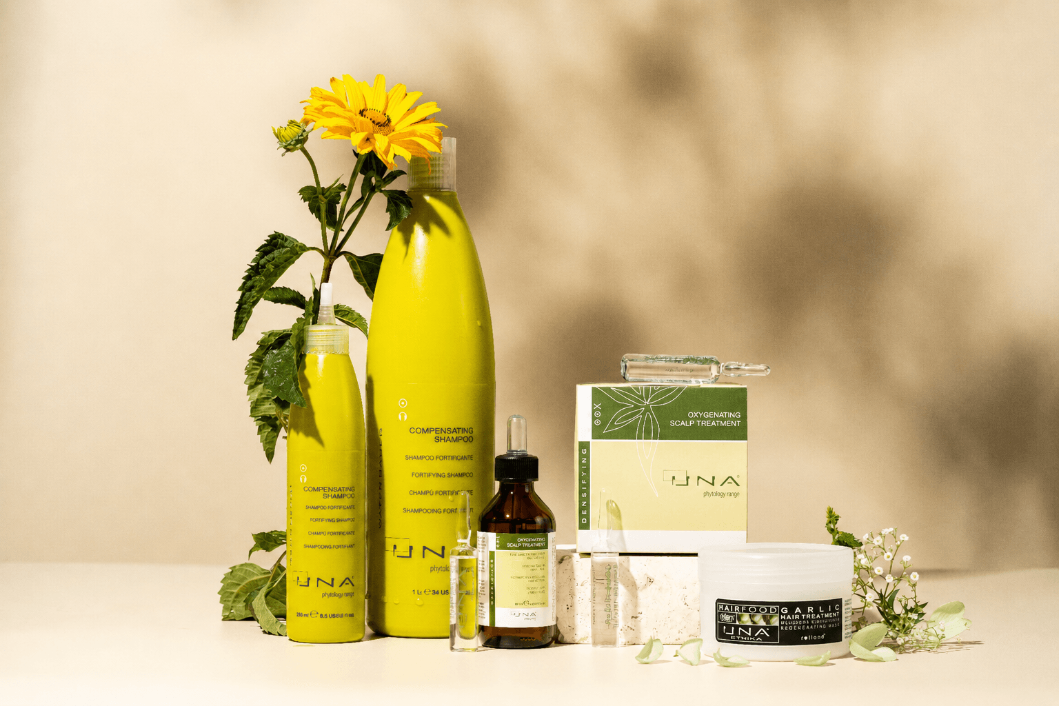 Anti-Hair Loss