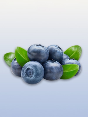 Blueberry