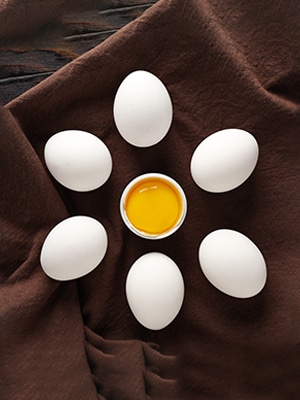 Egg Protein
