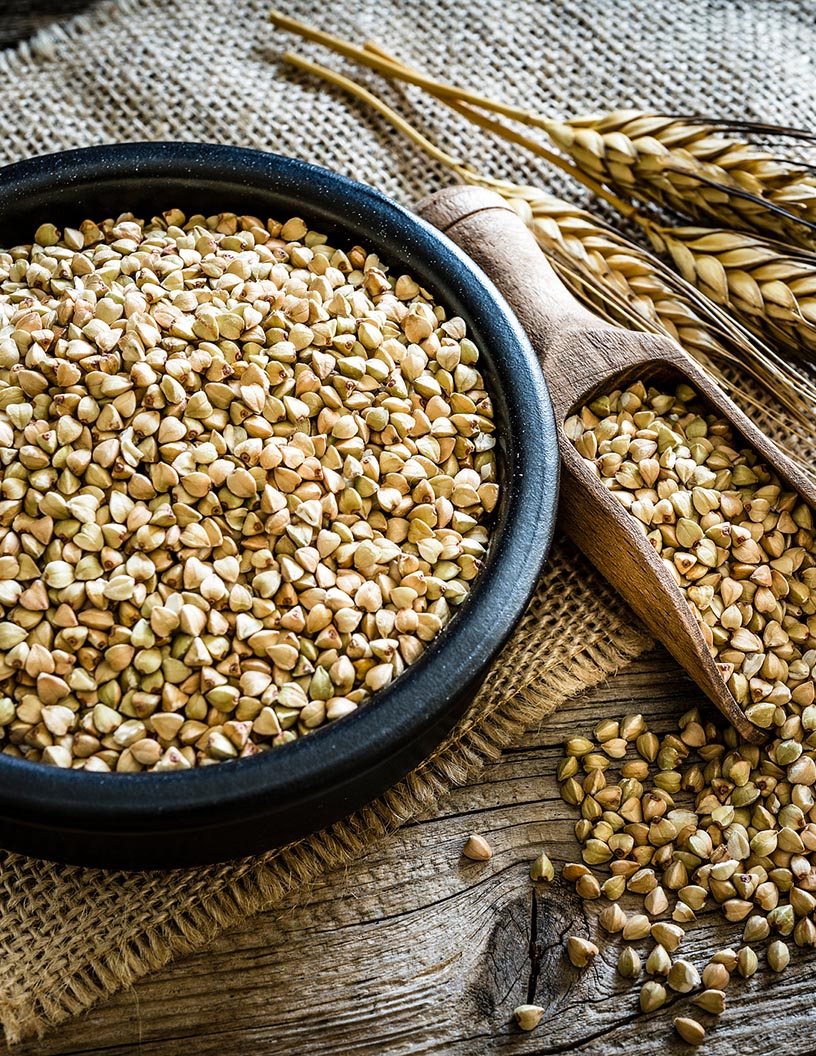 Wheat Proteins