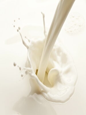 Milk