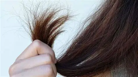 Fine, brittle hair prone to hair loss